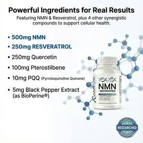 Gros plan sur les capsules de CogniTune NMN 1115mg