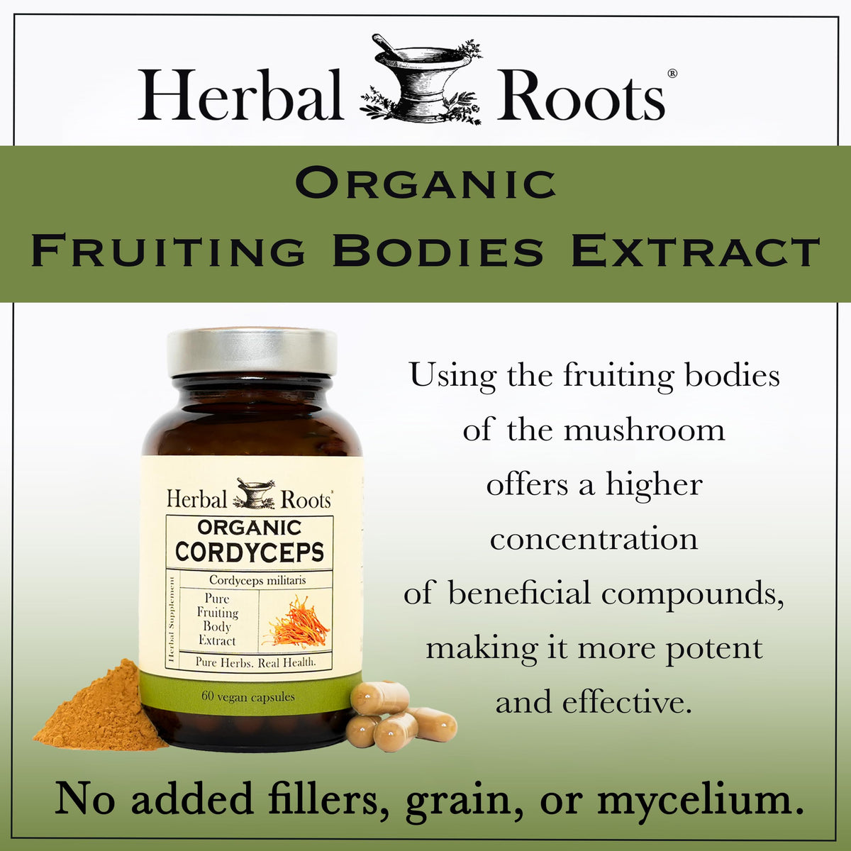 Gros plan sur les capsules de Cordyceps Herbal Roots