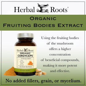 Gros plan sur les capsules de Cordyceps Herbal Roots