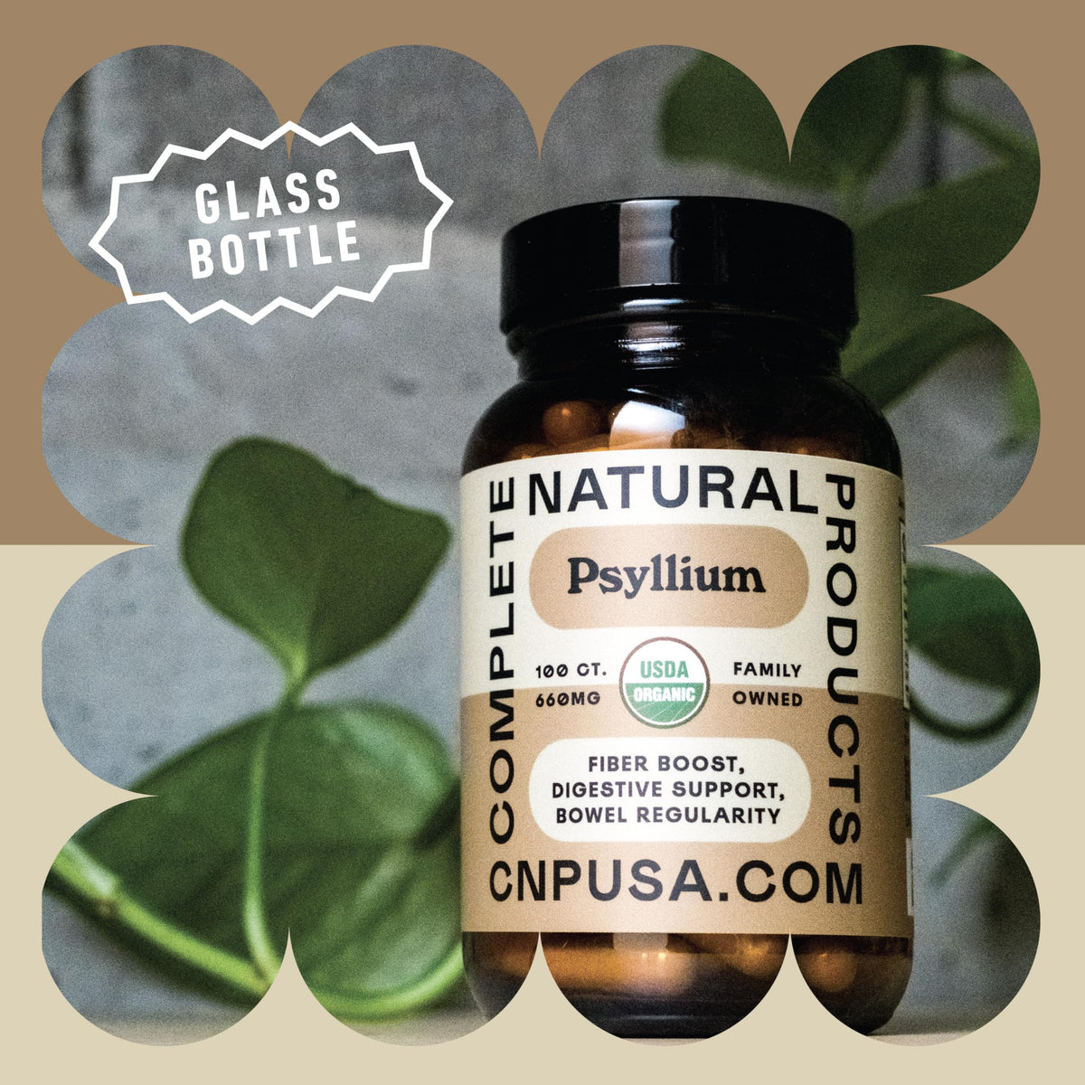 Gros plan sur les capsules de psyllium biologique
