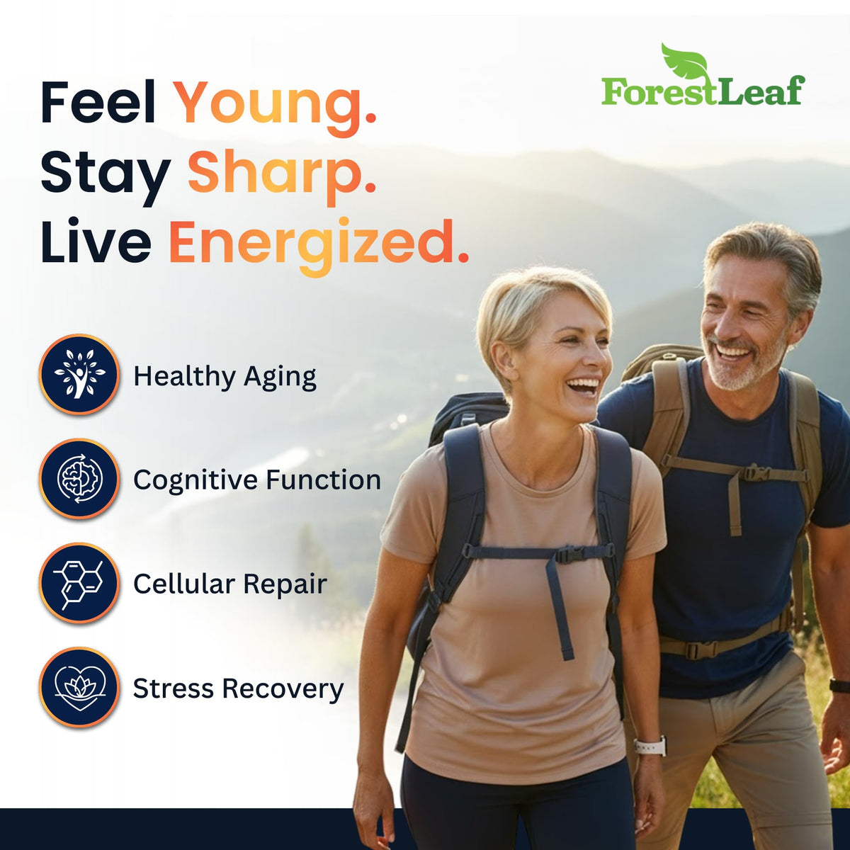 Gros plan sur les capsules de Resvératrol ForestLeaf