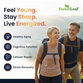 Gros plan sur les capsules de Resvératrol ForestLeaf
