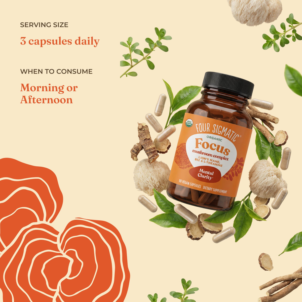 Gros plan sur les capsules Focus Four Sigmatic