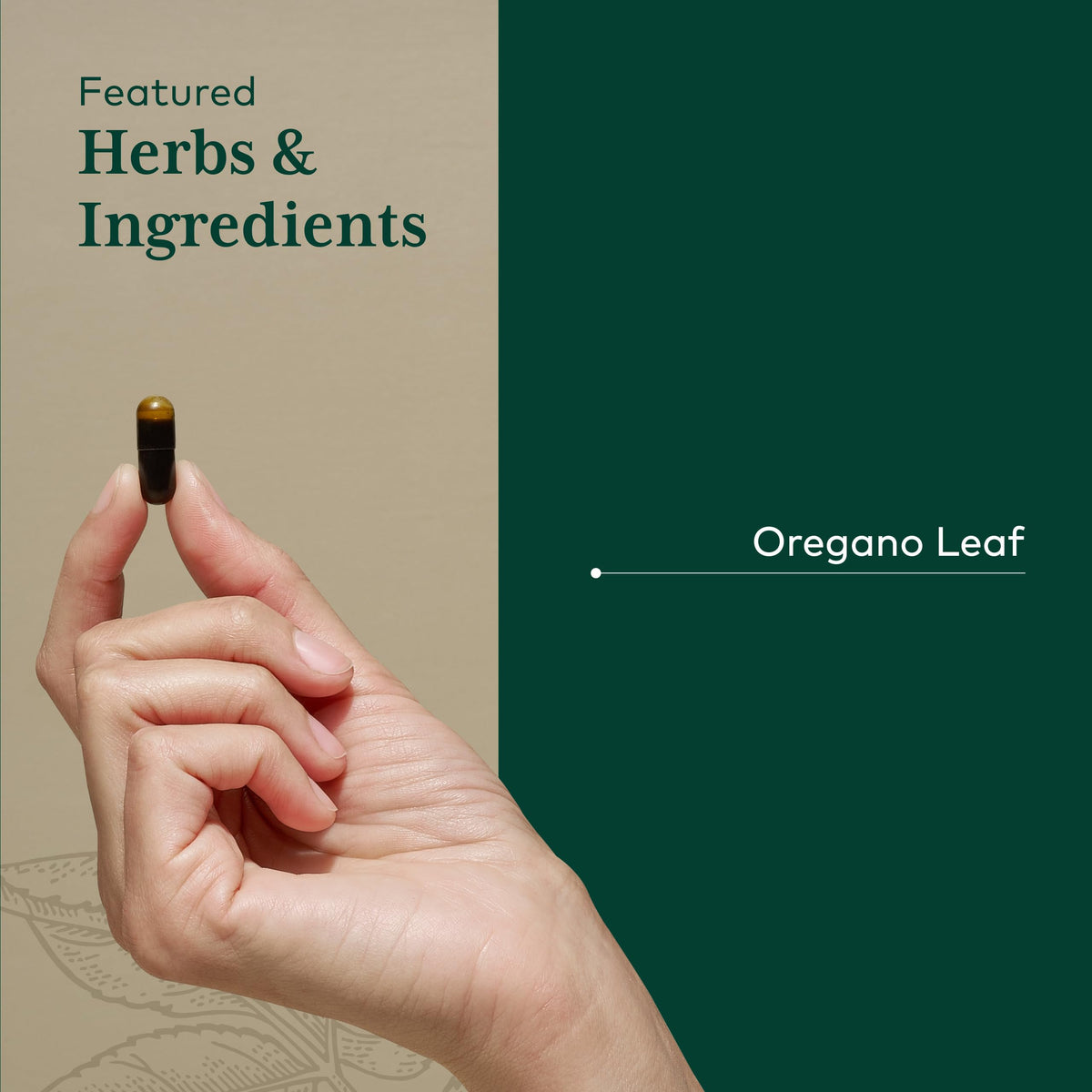 Gros plan sur les capsules Gaia Herbs PRO Huile d'Origan