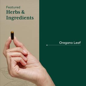 Gros plan sur les capsules Gaia Herbs PRO Huile d'Origan