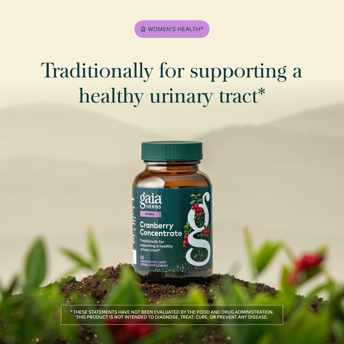 Gros plan sur les capsules végétaliennes de Gaia Herbs