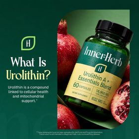 Gros plan sur les capsules végétaliennes InnerHerb Urolithin A