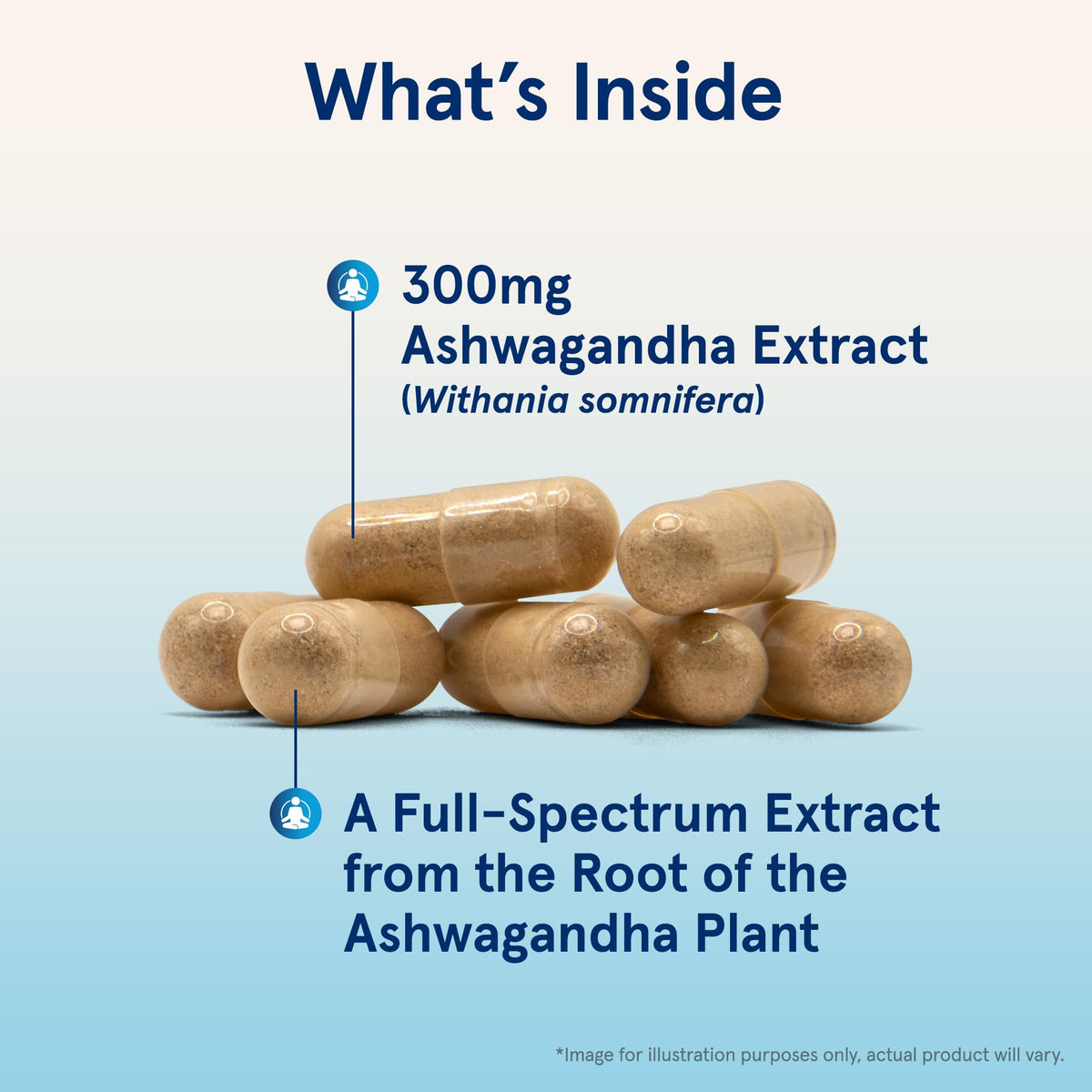 Gros plan sur une capsule d'Ashwagandha KSM-66 Jarrow Formulas