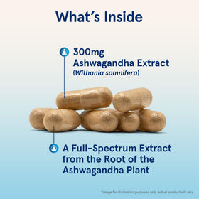 Gros plan sur une capsule d'Ashwagandha KSM-66 Jarrow Formulas