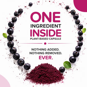 Gros plan sur une capsule de baies d'aronia bio