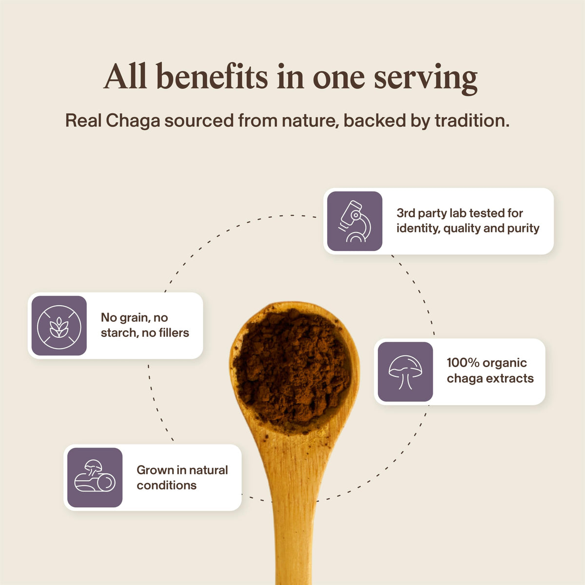 Gros plan sur une capsule de Chaga Bio