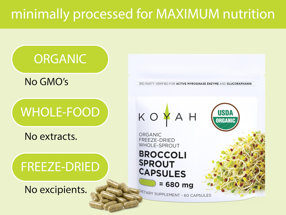 Gros plan sur une capsule de germes de brocoli KOYAH