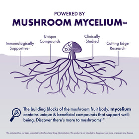Gros plan sur une capsule de Host Defense MycoBotanicals