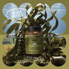 Gros plan sur une capsule de Kelp Marin Islandais