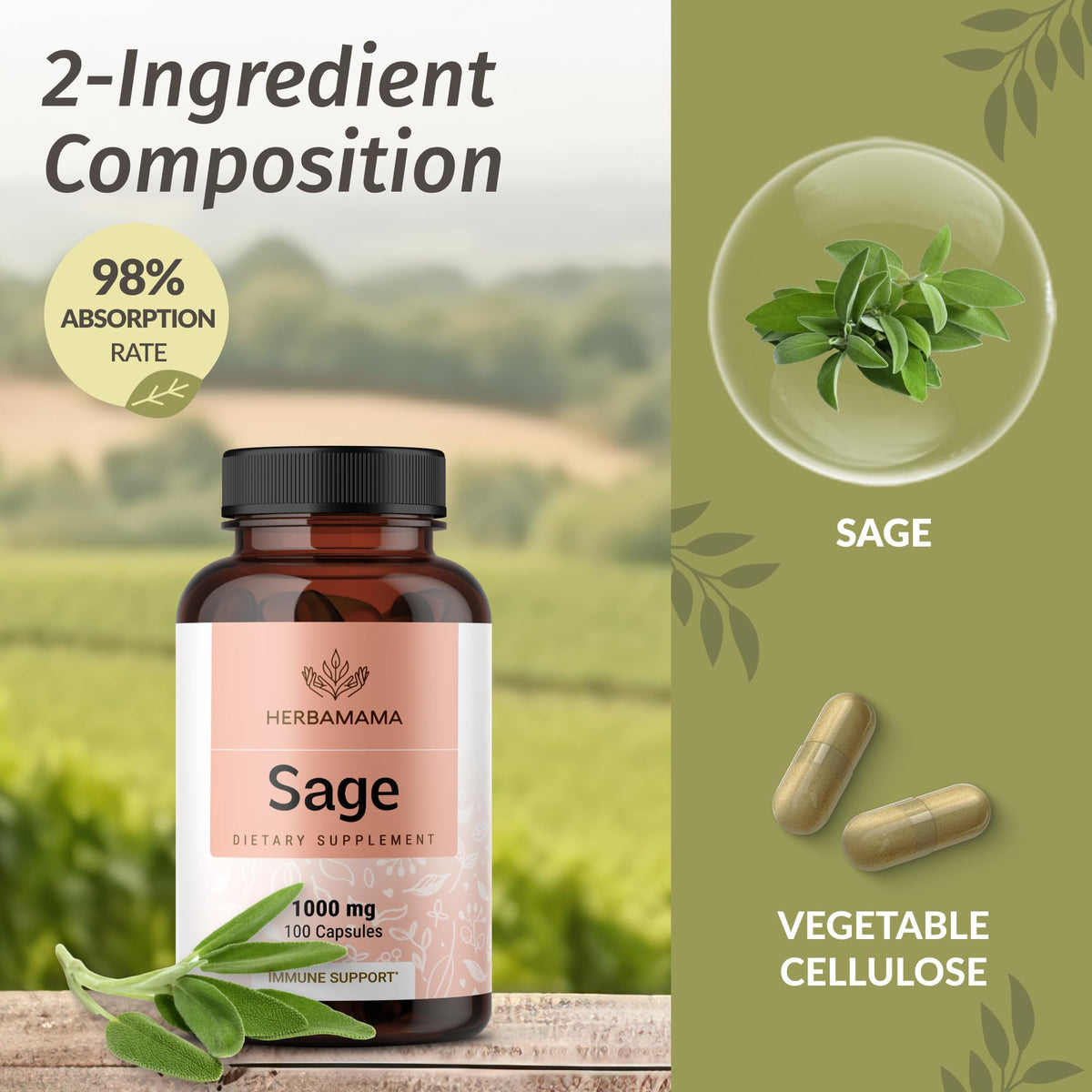 Gros plan sur une capsule de sauge HERBAMAMA