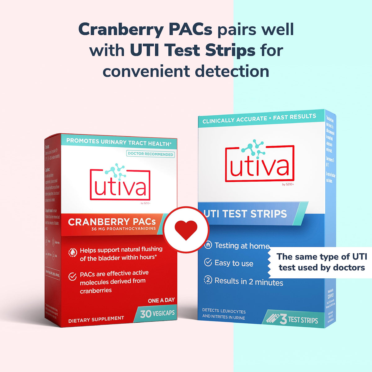 Gros plan sur une capsule Utiva de canneberge