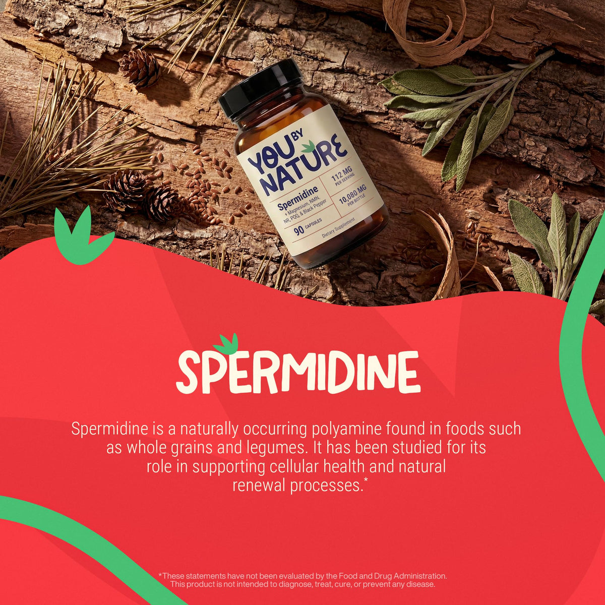 Gros plan sur une capsule YOUBYNATURE Spermidine 112mg