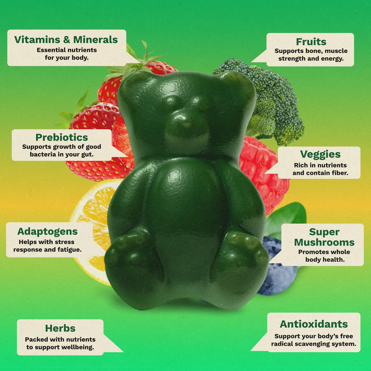 Grüns Gummies Multivitamines bonbons gélifiés dans une main