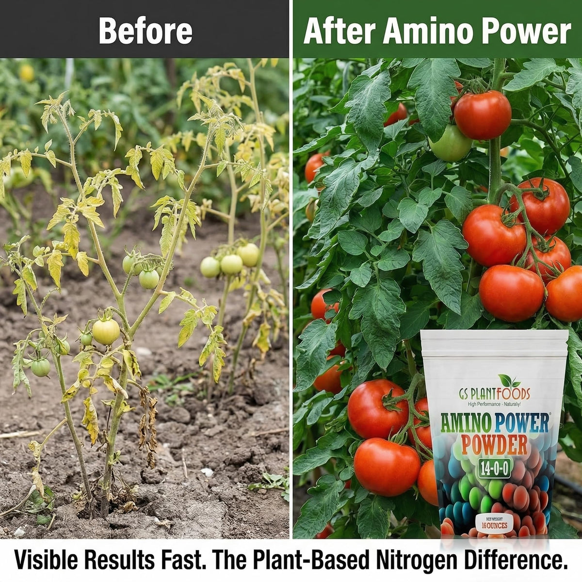 GS Plant Foods Amino Power Powder en usage sur des plantes