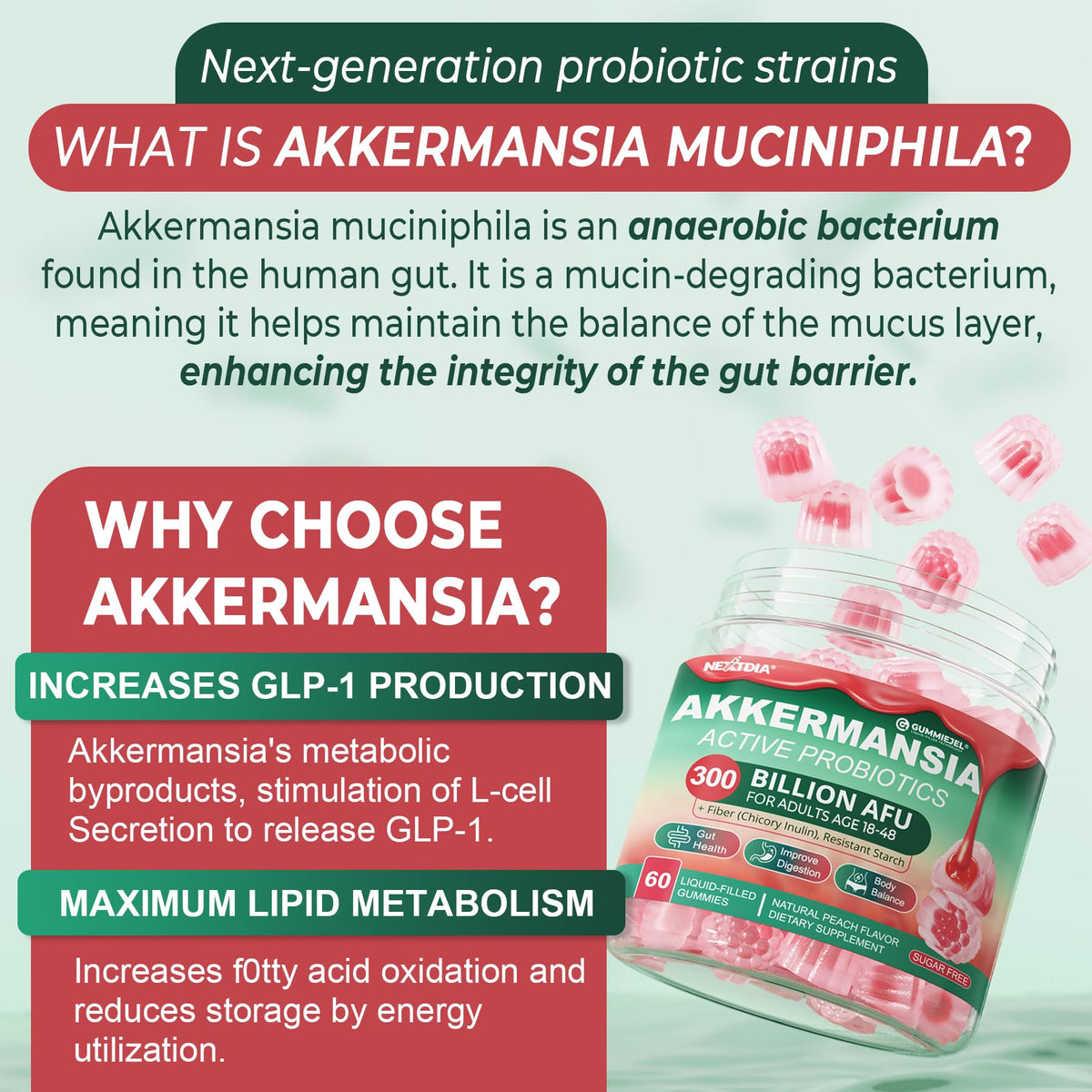 Gummies Akkermansia Nextdia, texture et couleur