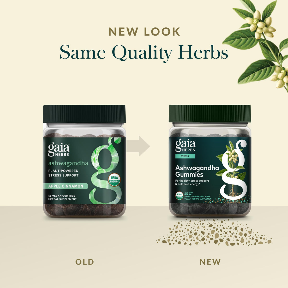 Gummies Ashwagandha Gaia Herbs en main, illustrant leur taille