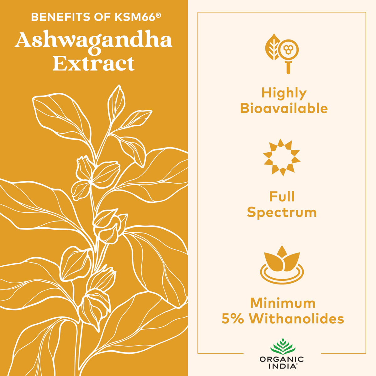 Gummies Ashwagandha ORGANIC INDIA, étiquette avec ingrédients