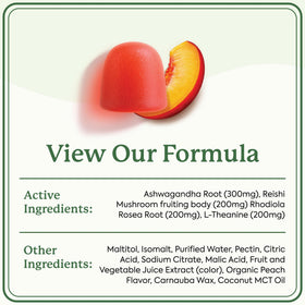 Gummies Ashwagandha Plant People sur un fond de fruits