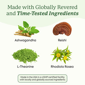 Gummies Ashwagandha Plant People sur une table en bois