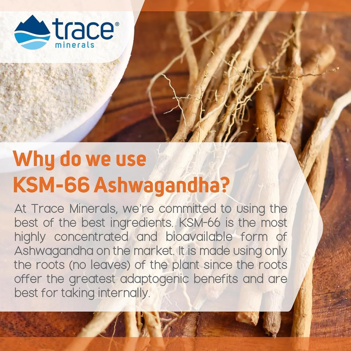 Gummies Ashwagandha Trace Minerals avec une main tenant un gummy