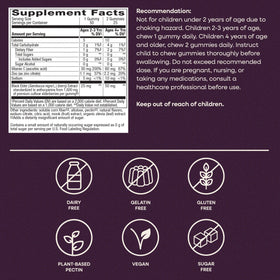 Gummies au sureau Nature's Way, ingrédients de qualité