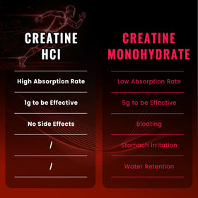 Gummies Bageto Complex Créatine HCl 5000mg dans une main