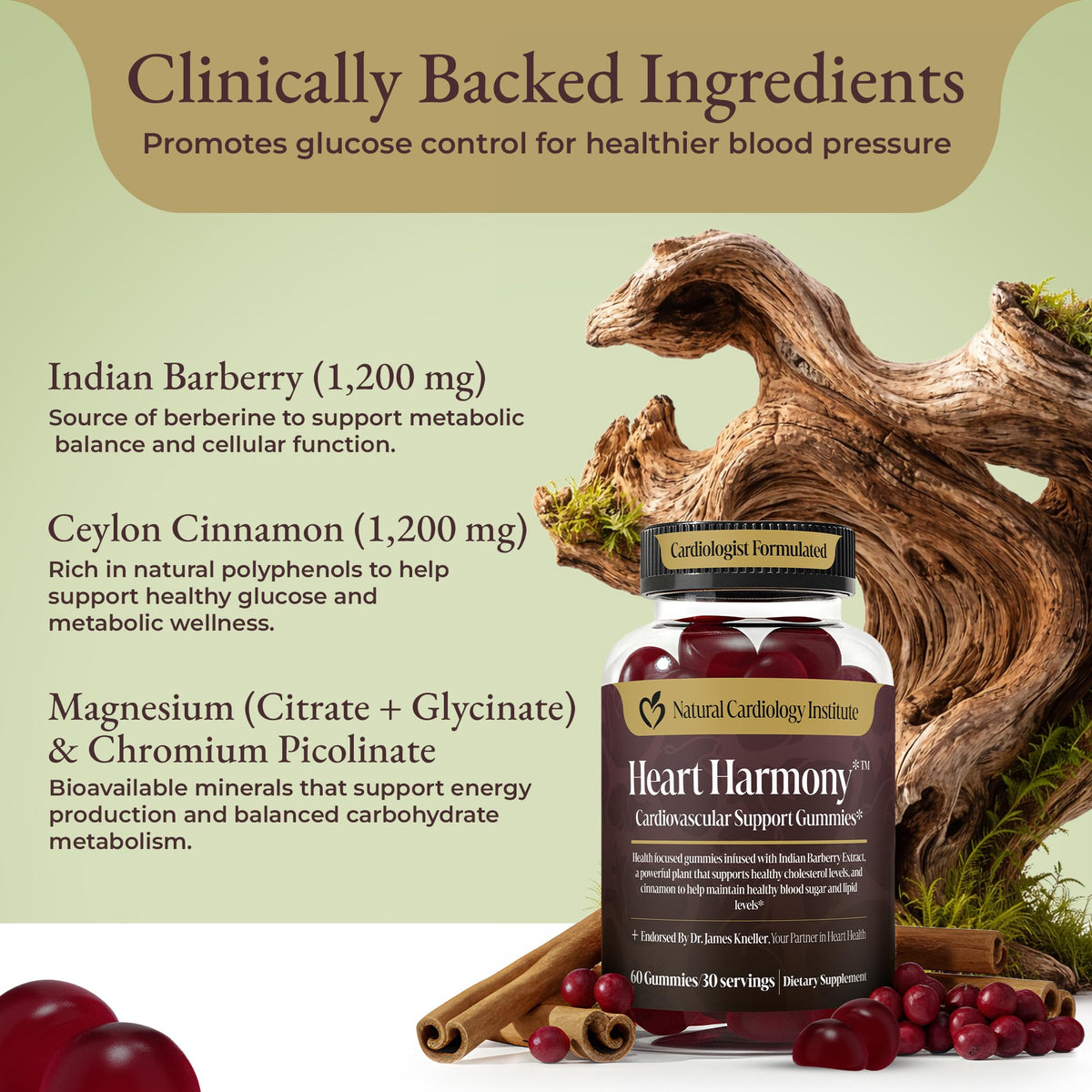 Gummies Berberine de Natural Cardiology Institute sur une table