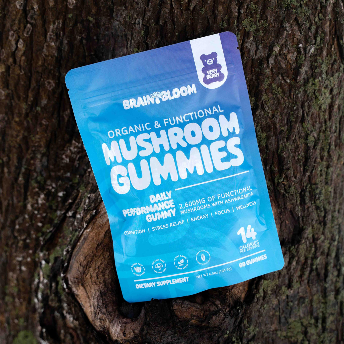 Gummies BrainBloom, présentation des ingrédients principaux
