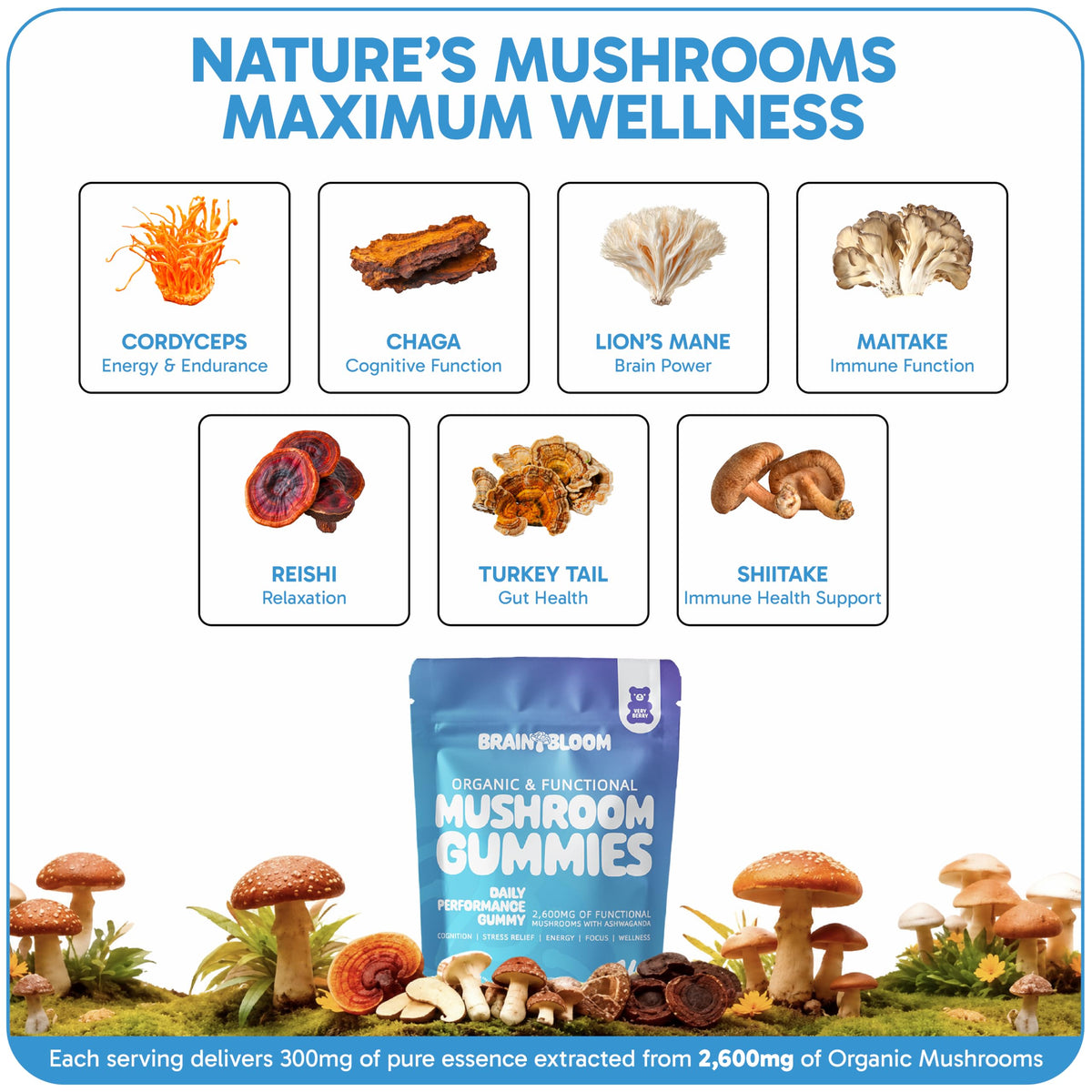Gummies BrainBloom sur fond blanc, présentation du produit