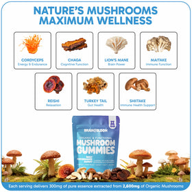 Gummies BrainBloom sur fond blanc, présentation du produit