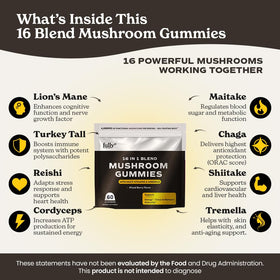 Gummies Champignons 16 en 1 FULLY NUTRITION avec lion's mane