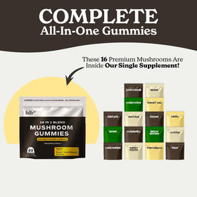 Gummies Champignons 16 en 1 FULLY NUTRITION emballage