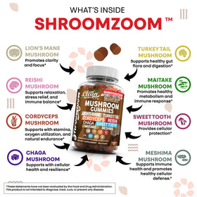 Gummies champignons Clean Nutraceuticals 15 en 1 contenant ouvert