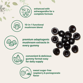 Gummies champignons Micro Ingredients montrant les ingrédients