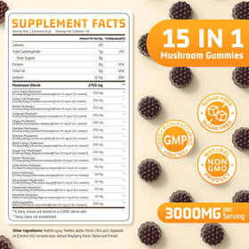 Gummies Champignons Nature Echo 15 en 1 arrière avec ingrédients