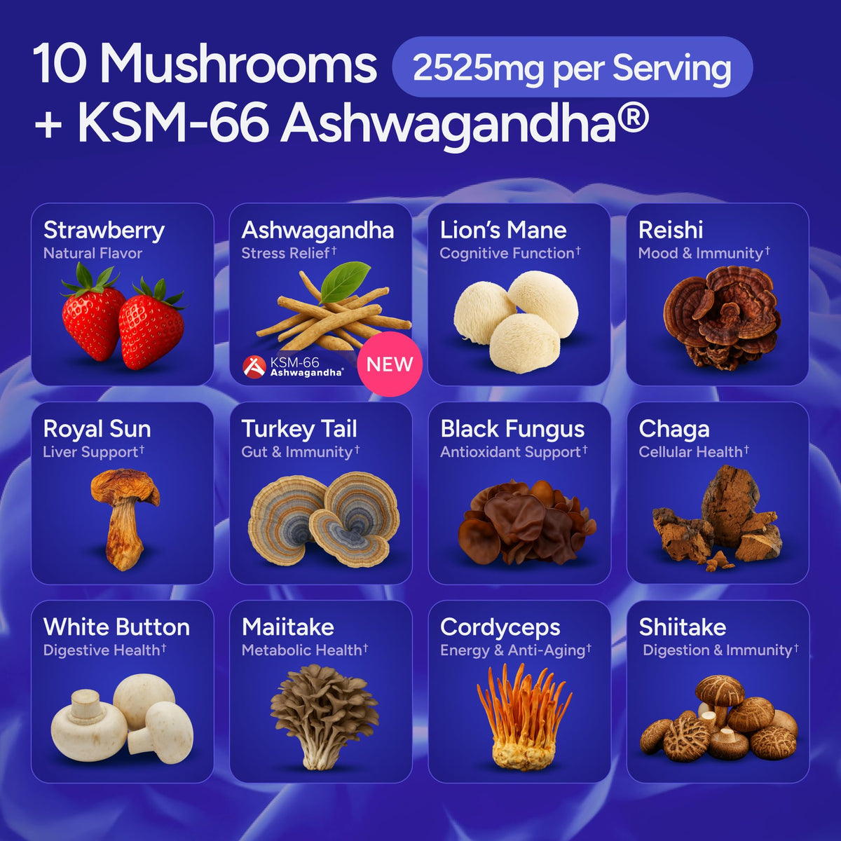 Gummies champignons Purify Life prises dans une main