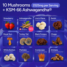 Gummies champignons Purify Life prises dans une main