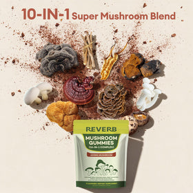 Gummies champignons REVERB 16 en 1 montrant la texture