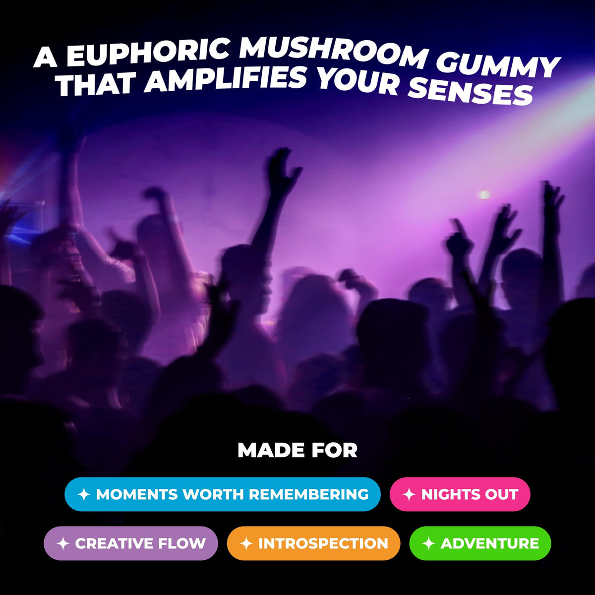 Gummies champignons Shrumfuzed, vue de côté montrant la texture