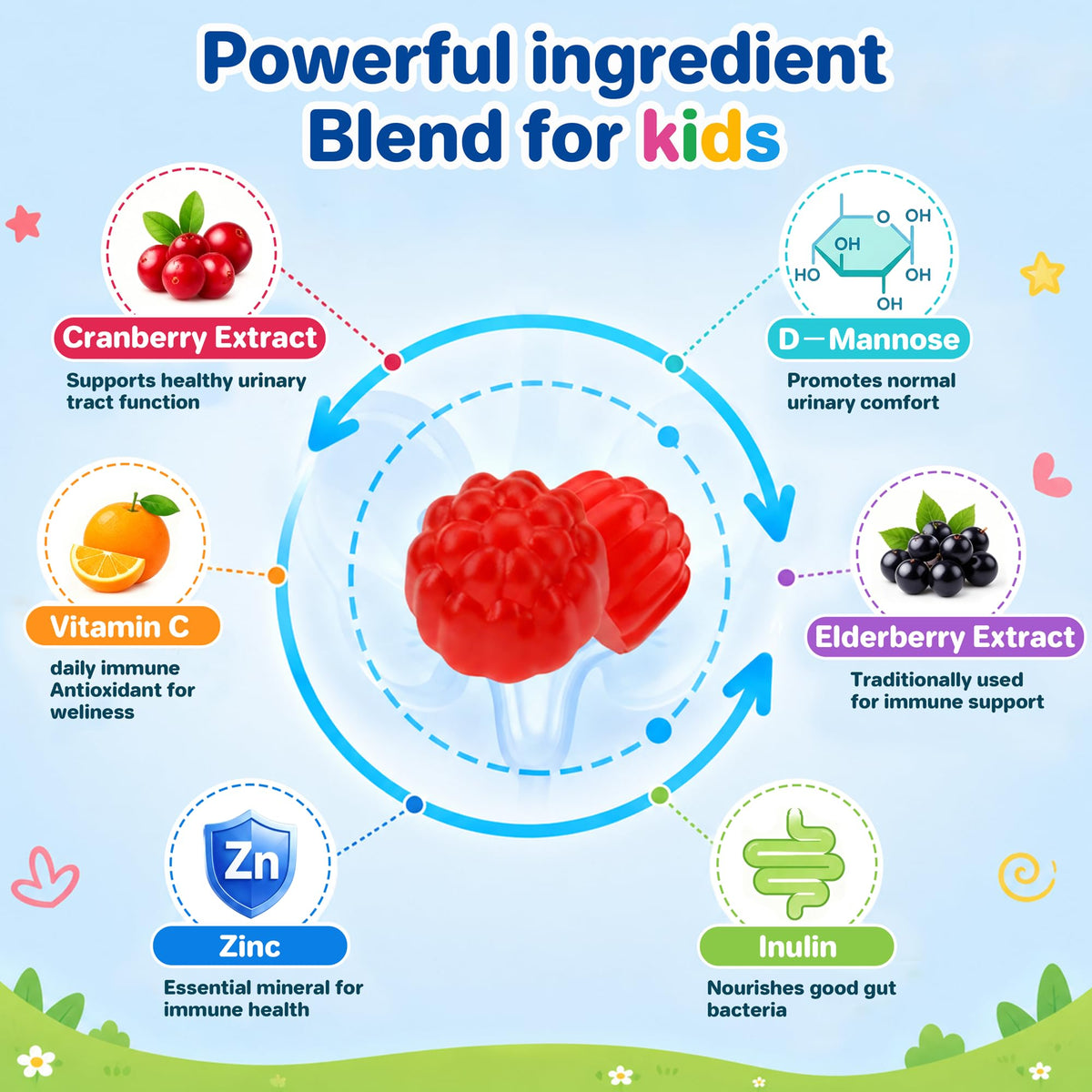 Gummies Cranberry ABYSSUS montrant la texture moelleuse et le goût naturel