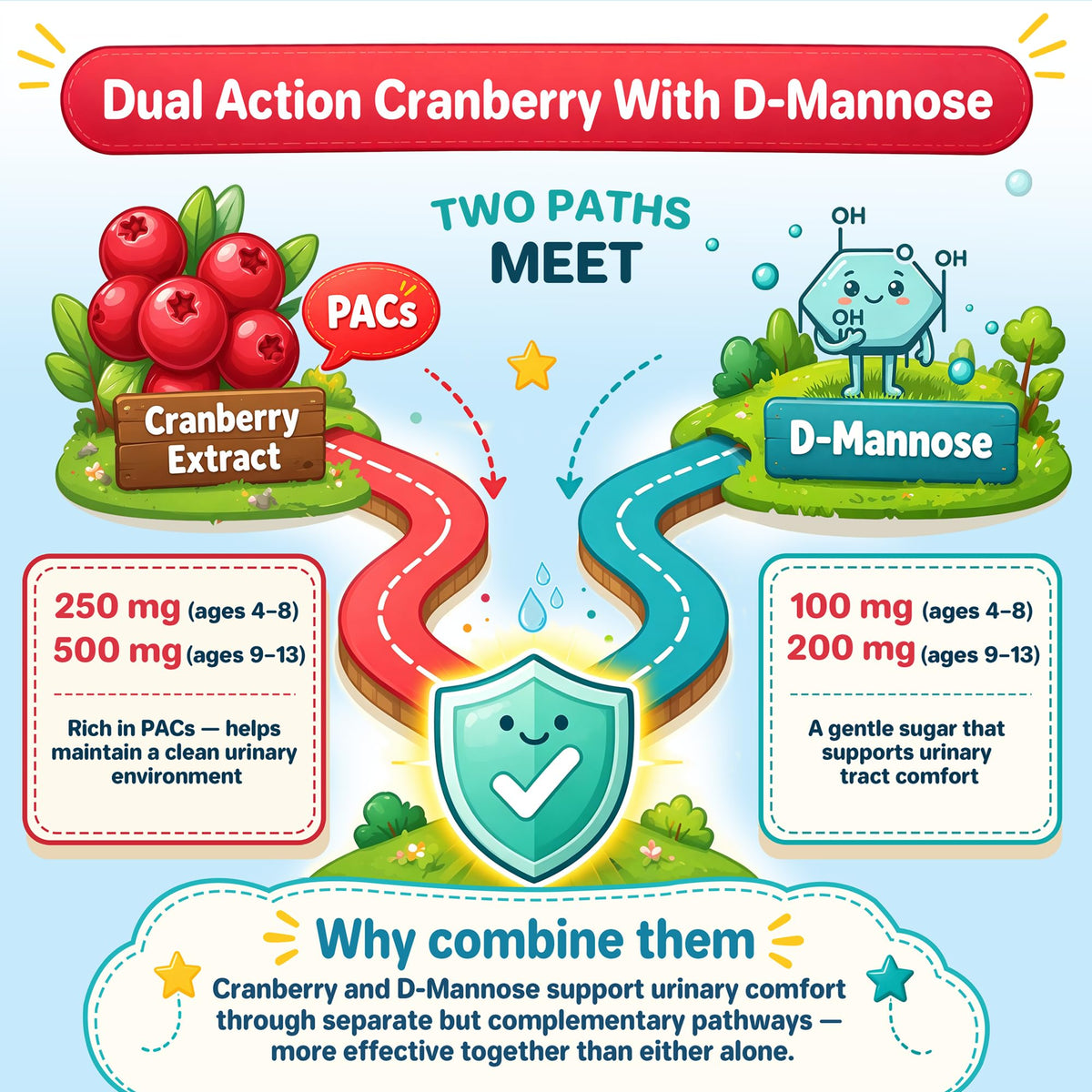 Gummies Cranberry ABYSSUS pour enfants en format de 60 gummies