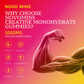 Gummies Créatine Monohydrate Novomins dans la main