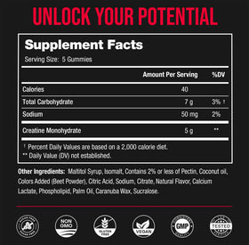 Gummies créatine NutraChamps 150 g en main pour une comparaison de taille