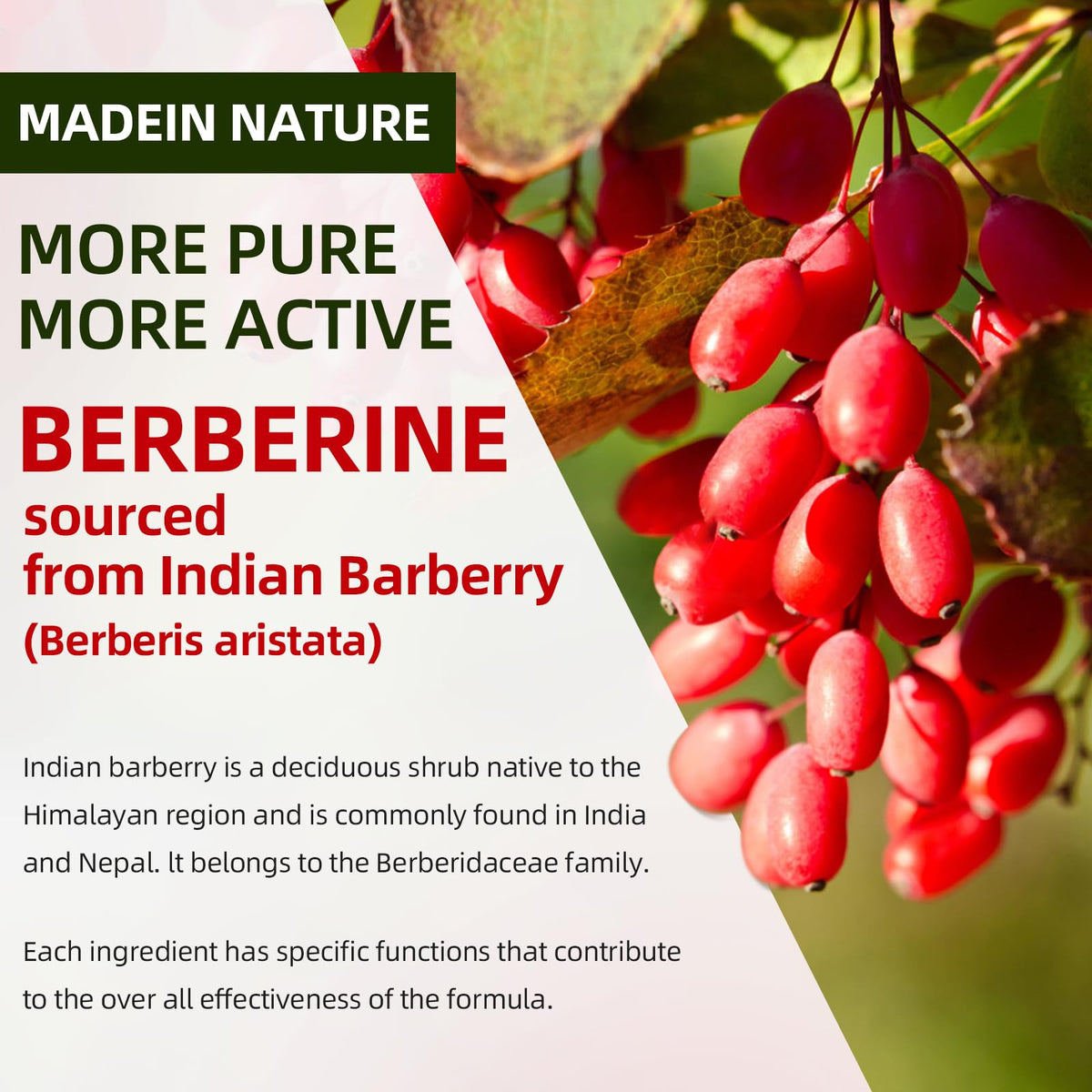 Gummies de Berbérine GrnLife, présentation en gros plan