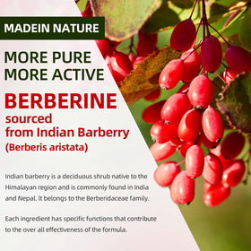 Gummies de Berbérine GrnLife, présentation en gros plan